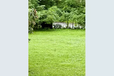 527 Sugar Lane, Clarksville, PA 15322 - Photo 13