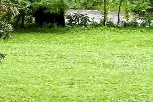 527 Sugar Ln, Clarksville, PA 15322 - Photo 13