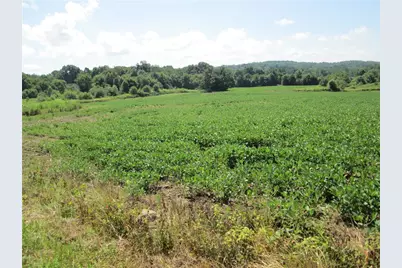 1264 Galilee Rd, North Beaver Township, PA 16141 - Photo 5