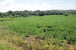 1264 Galilee Rd, North Beaver Township, PA 16141 - Photo 5