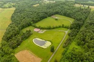 387 George Ln, Wheatfield Township (East/West), PA 15954 - Photo 7