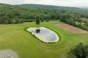 387 George Ln, Wheatfield Township (East/West), PA 15954 - Photo 45