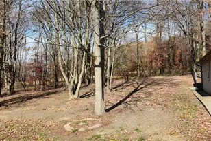 144 Lindy St, Chippewa Township, PA 15010 - Photo 43
