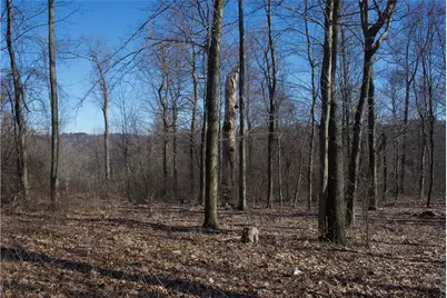 0 Audubon Road, Sewickley Heights, PA 15143 - Photo 3