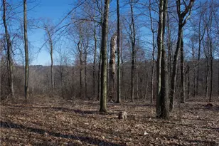 0 Audubon Rd, Sewickley Heights, PA 15143 - Photo 3