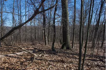 0 Audubon Road, Sewickley Heights, PA 15143 - Photo 5