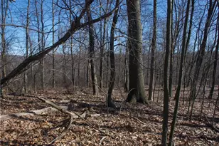 0 Audubon Rd, Sewickley Heights, PA 15143 - Photo 5