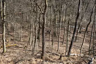 0 Audubon Rd, Sewickley Heights, PA 15143 - Photo 9