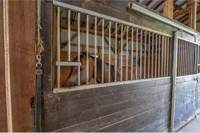 387 George Lane, Wheatfield Township (East/West), PA 15954 - Photo 39