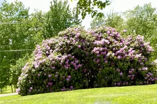 230 Locust Rd, Addison Township, PA 15411 - Photo 35