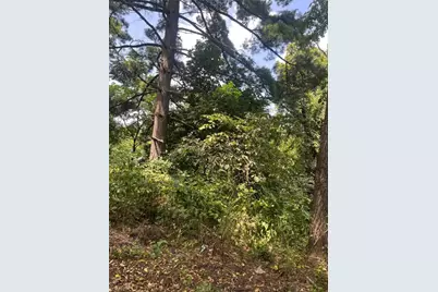 1113 Buente, Spring Hill, PA 15212 - Photo 5