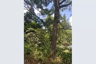 1113 Buente, Spring Hill, PA 15212 - Photo 3