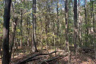 0 N Franklin St, Franklin Township, PA 16052 - Photo 13