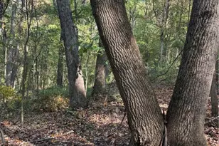 0 N Franklin St, Franklin Township, PA 16052 - Photo 11