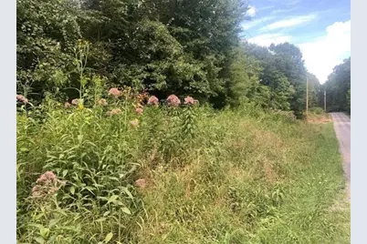 Lot 2B & 4 Vickerman Rd, East Lackawannock Township, PA 16137 - Photo 3