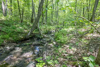 505 Greenbriar Rd, Stewart Twp, PA 15431 - Photo 41