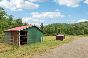 1056 Dora Rd, Punxsutawney Area School District, PA 15767 - Photo 17