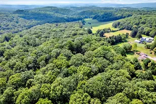 114 Forelle Ln, Ligonier Township, PA 15658 - Photo 43