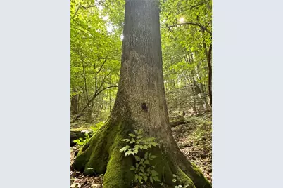 0 Matson Road, Ligonier Township, PA 15658 - Photo 29