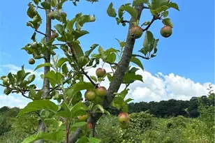 0 Matson Rd, Ligonier Township, PA 15658 - Photo 35