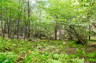 456 Preacher Hill Rd, Other, PA 16341 - Photo 11