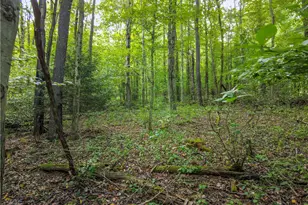 0 McClain, Chippewa Township, PA 15010 - Photo 1