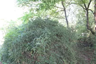 00 Douglas Rd, North Sewickley Township, PA 15010 - Photo 1