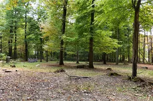 1496 Methodist Rd, Salem Township, PA 16125 - Photo 27