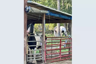 1496 Methodist Rd, Salem Township, PA 16125 - Photo 11