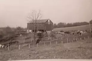 1182 Airport Rd, Hopewell Township, PA 15001 - Photo 25