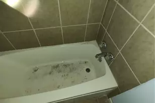 180 Connellsville St, Fayette City, PA 15438 - Photo 17