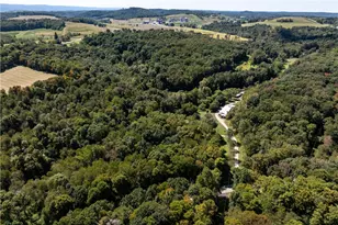 466 Walker Dr, Center Township-Homer City, PA 15701 - Photo 13