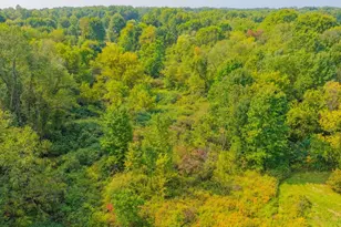 828 Brownhome Rd, Scott Township, PA 16101 - Photo 43