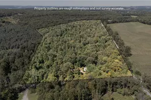 1253 Aulds Run Rd, Brush Val-Buffington, PA 15748 - Photo 49