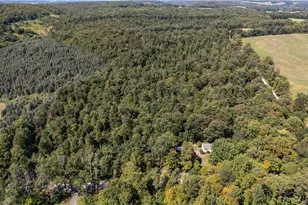 1253 Aulds Run Rd, Brush Val-Buffington, PA 15748 - Photo 21