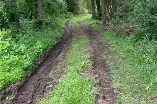 368 Turkeyfoot Rd, Peters Township, PA 15367 - Photo 19