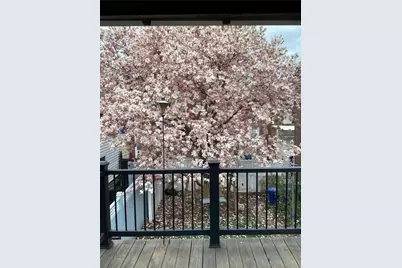 164 45th Street, Pittsburgh, PA 15201 - Photo 45