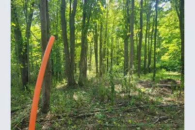 74 Daugherty Rd, Pine Township, PA 16127 - Photo 7