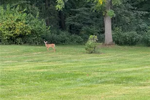 1810 Tony St, Shenango Township, PA 16101 - Photo 3