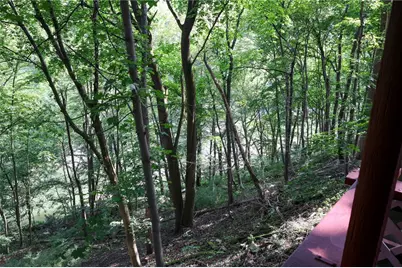 104 Pittsburgh Cir, Ellwood City, PA 16117 - Photo 11