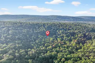 139 Ladybug Ln, Ligonier Township, PA 15658 - Photo 29