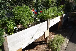 4601 Fifth Ave, Pittsburgh, PA 15213 - Photo 27