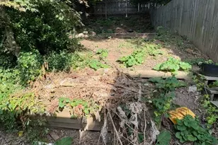 537 Indiana Ave, Glassport, PA 15045 - Photo 9