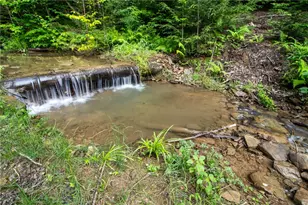 41 Wonder Ln, Punxsutawney Area School District, PA 15767 - Photo 35