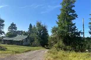 1227 S Hewitt Ave, Canton Township, PA 15301 - Photo 3