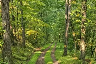 2210 Ramer Rd, Plumcreek Township, PA 15774 - Photo 1