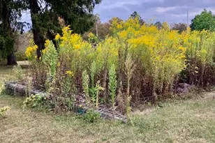 3290 William Penn Ave, Johnstown, PA 15909 - Photo 21