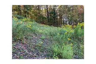 112 Riverside Dr, , PA 15737 - Photo 9