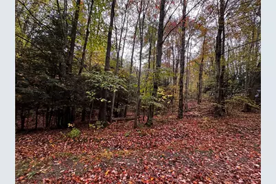 Lot 1 Dobbs Rd, Athens, PA 16438 - Photo 3