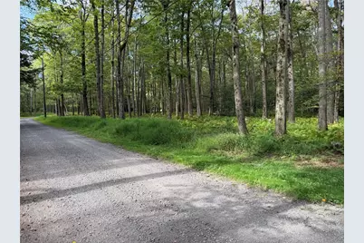 Lots 211 & 212 Alpine Rd, Jenner Township, PA 15546 - Photo 1